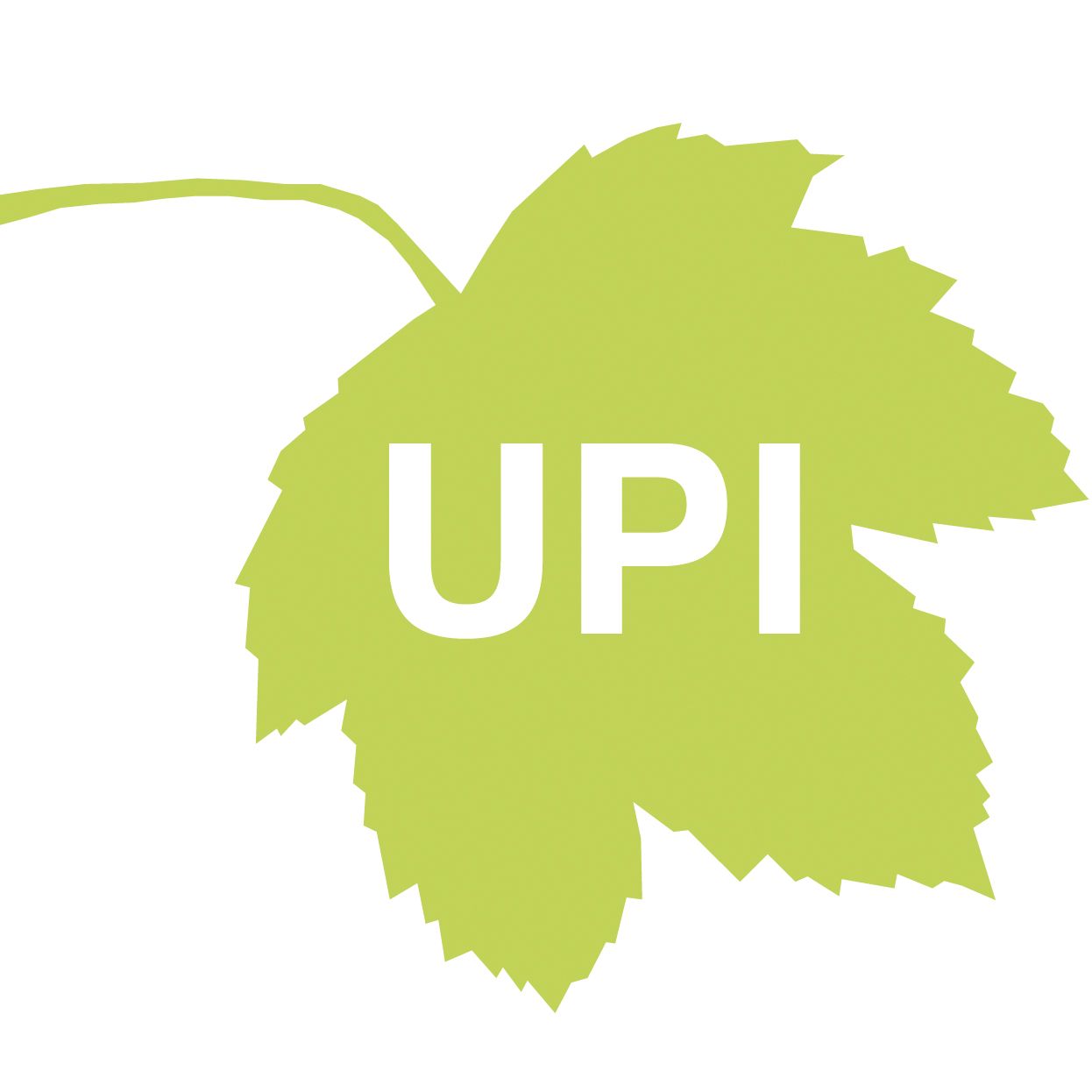 Logo of VS Environmental Product Information (UPI) – a green leaf symbolizing transparent sustainability labeling in accordance with ISO 14021
