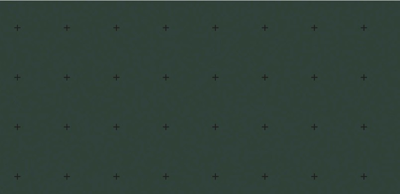 E010 grün Kreuzkaro 10cm. 