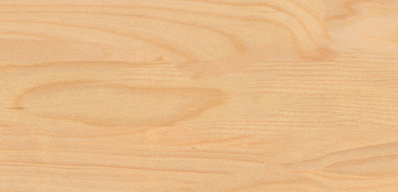 F013 natural birch. 