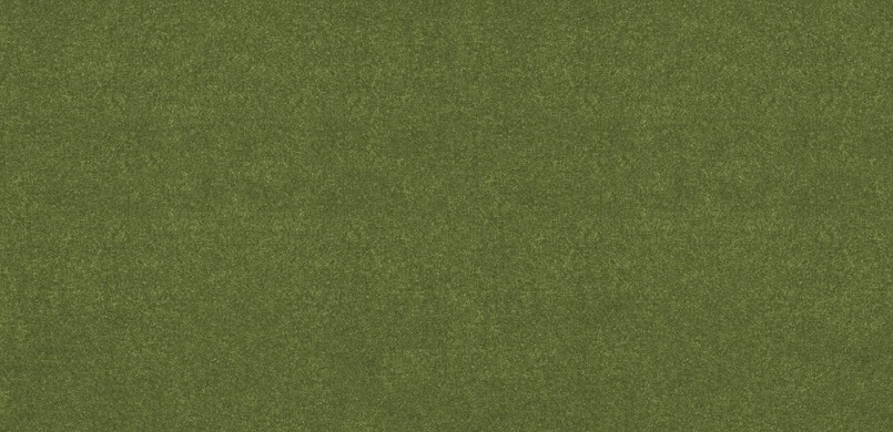 S273 green (CUZ1K). Manufacturer: Camira
