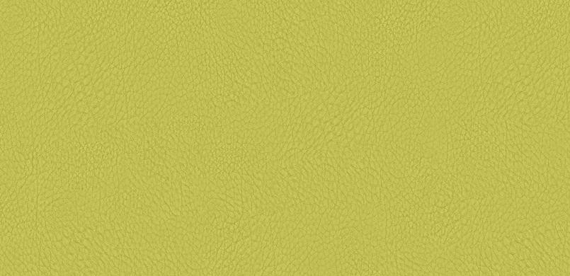 S431 green (F6800027). Manufacturer: Hornschuch
