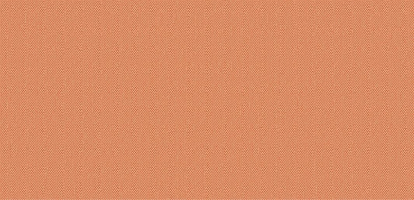 S485 rust-orange (CSE25). Manufacturer: Camira
