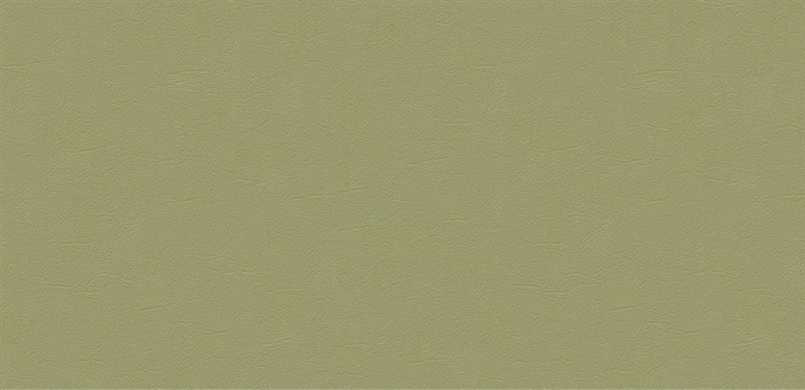 S494 pastel green (79). Manufacturer: Hornschuch