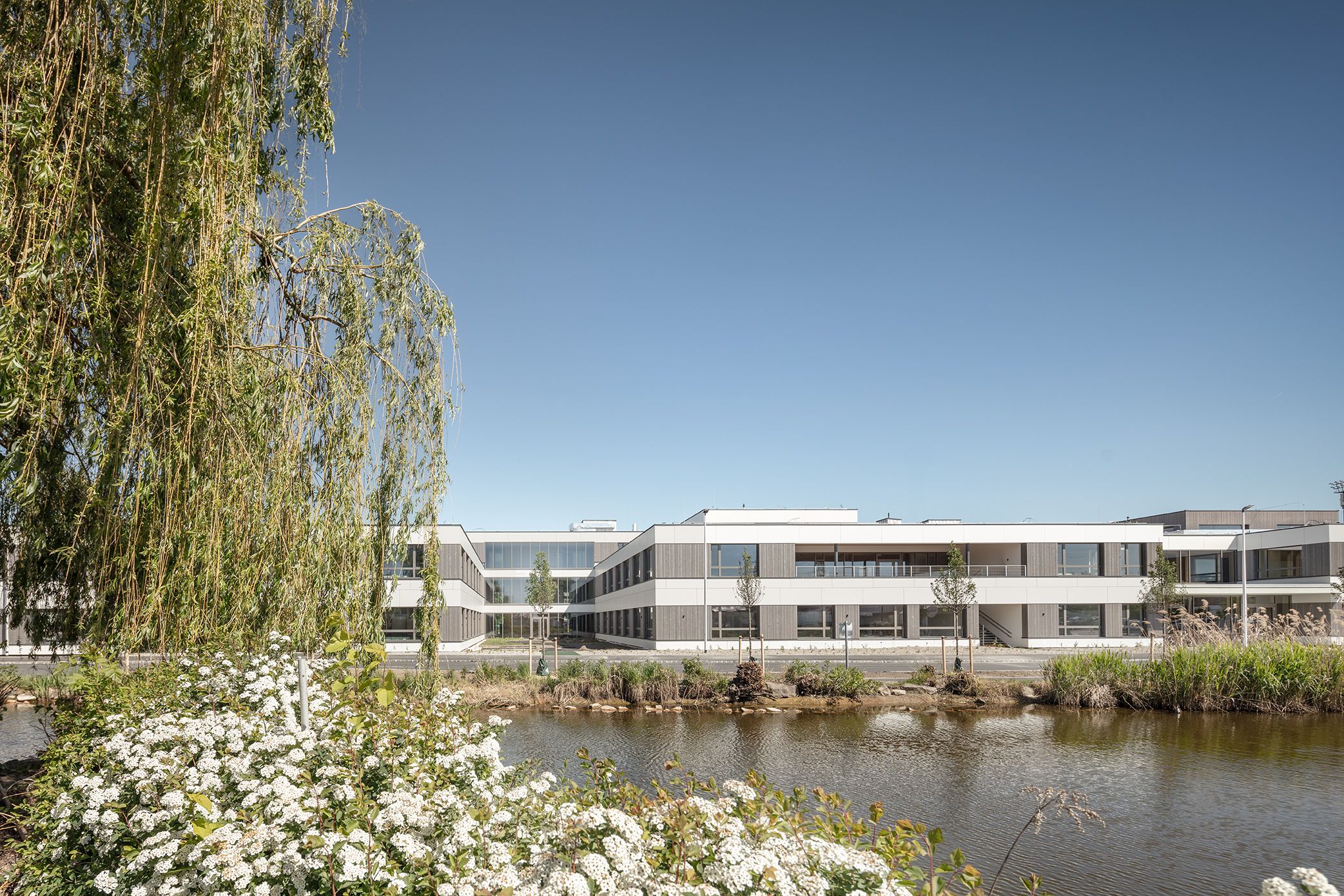 View of the Hollabrunn school campus, surrounded by a pond and trees.